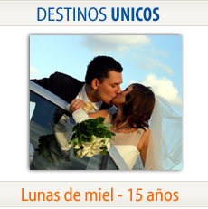 bannerlunademial